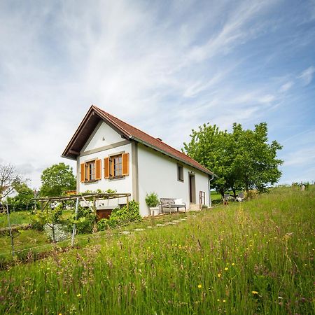 Villa Weinlofts Weinloft I à Edlitz im Burgenland Extérieur photo
