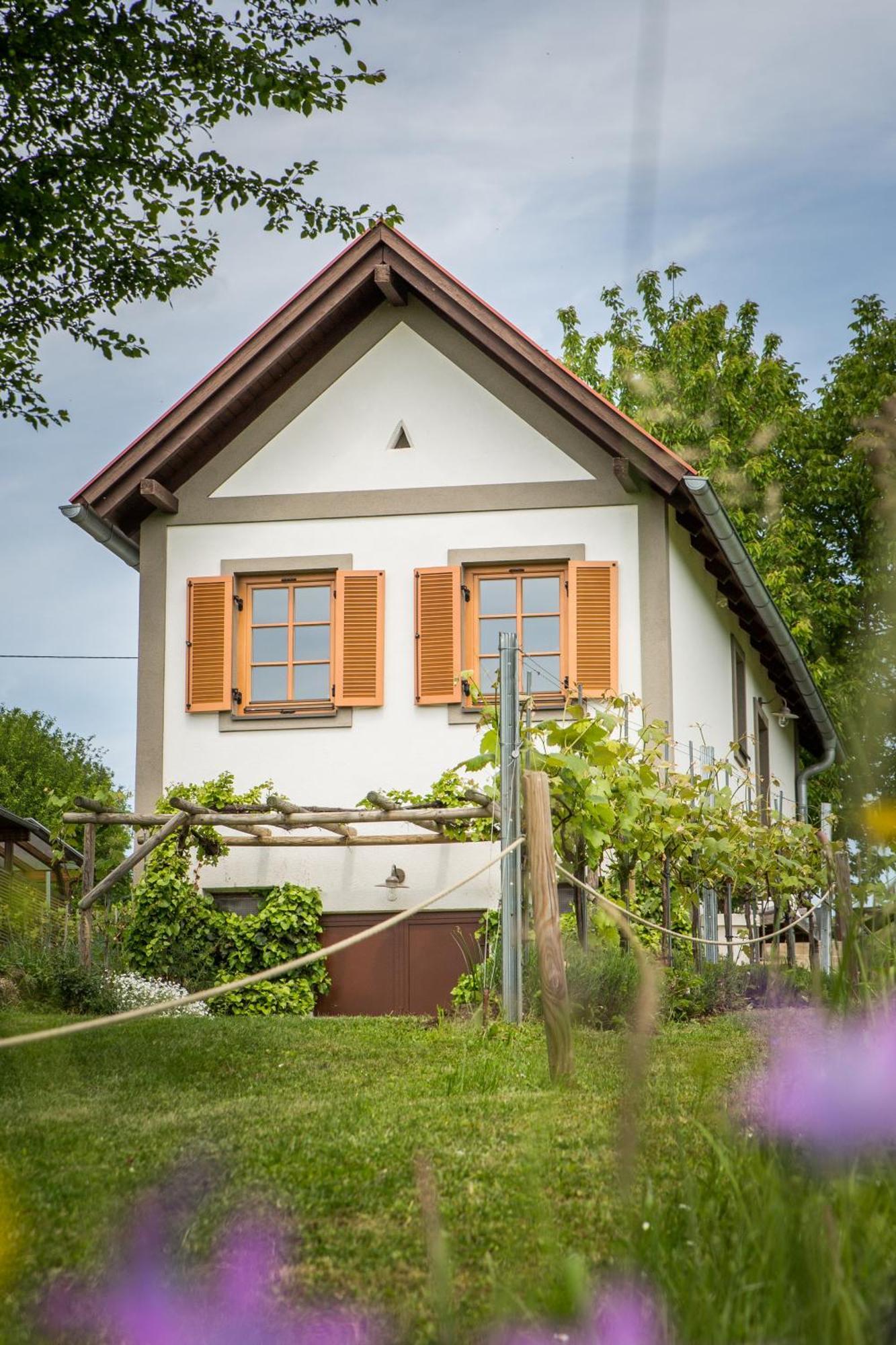 Villa Weinlofts Weinloft I à Edlitz im Burgenland Extérieur photo
