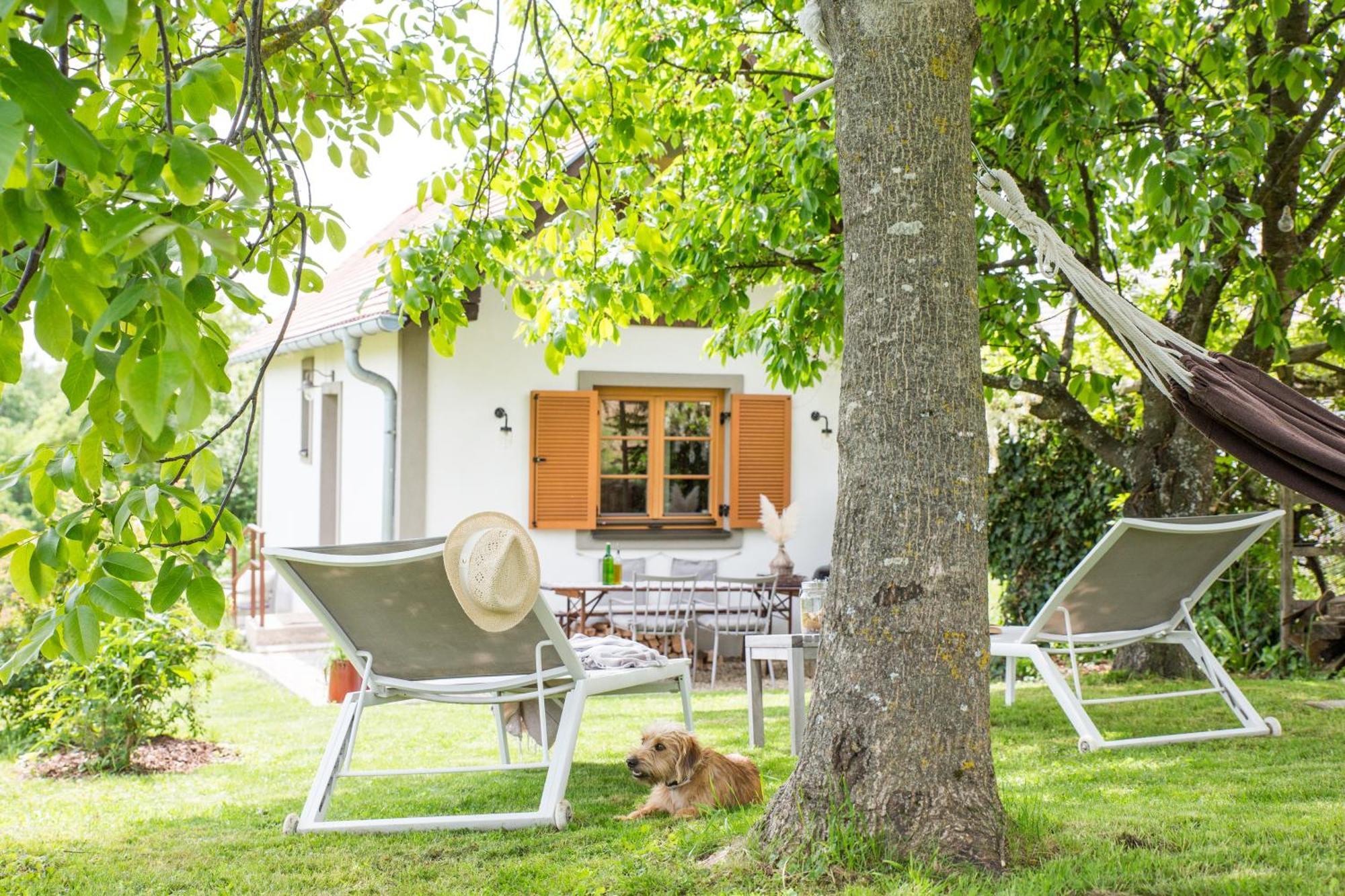 Villa Weinlofts Weinloft I à Edlitz im Burgenland Extérieur photo