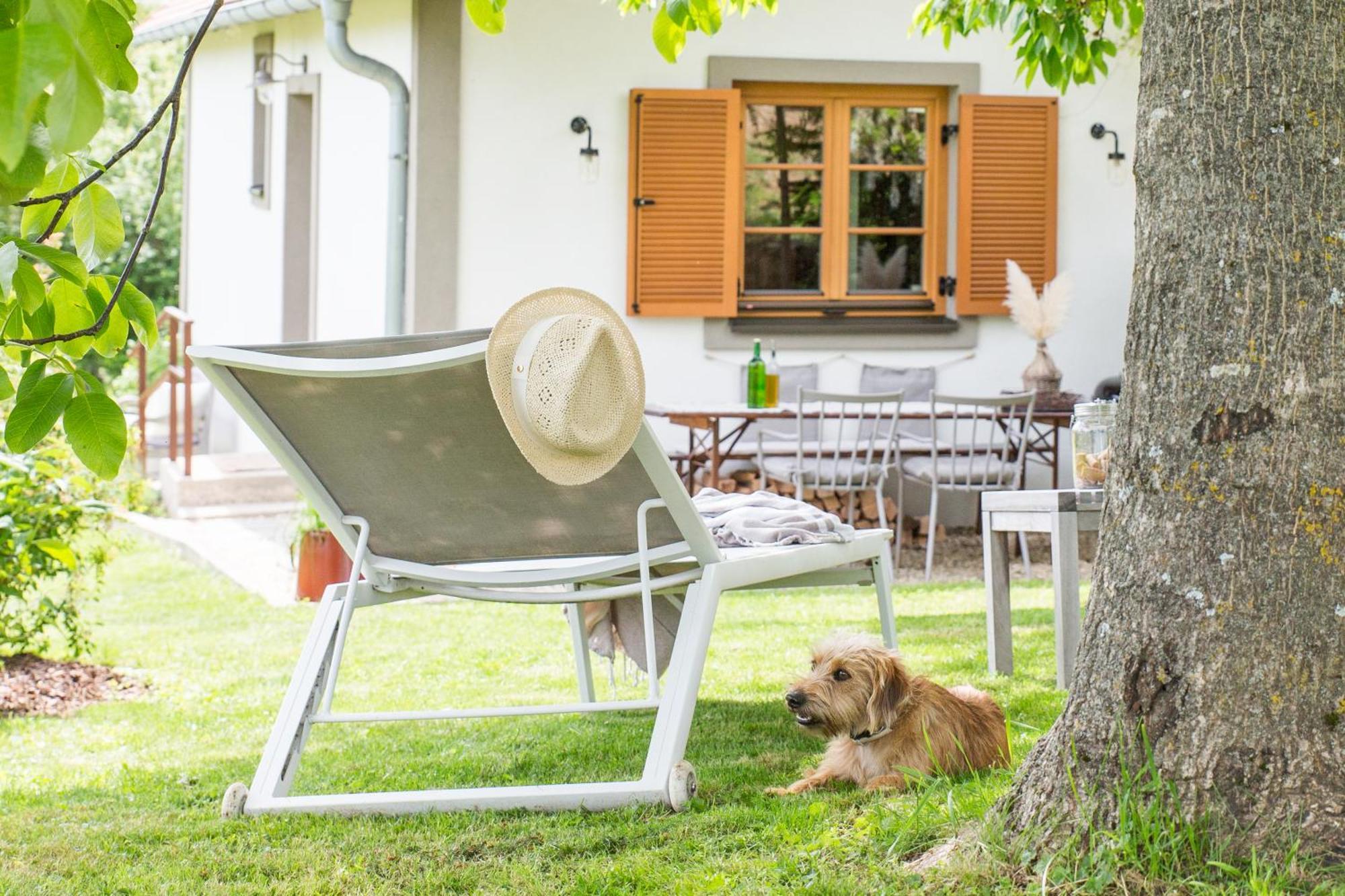 Villa Weinlofts Weinloft I à Edlitz im Burgenland Extérieur photo